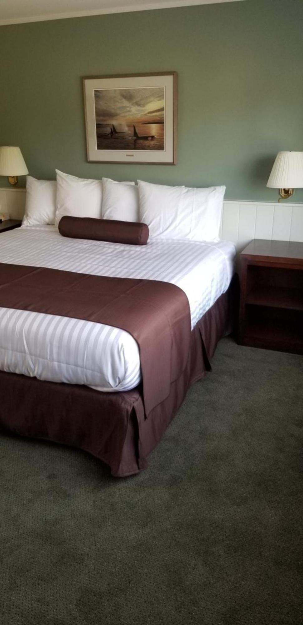 Pacific Rim Motel Юклулет Экстерьер фото